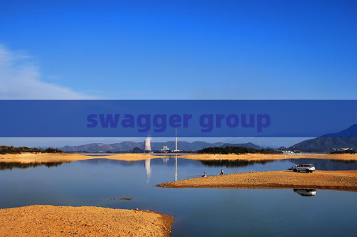 swagger group