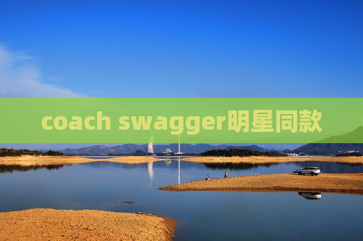 coach swagger明星同款